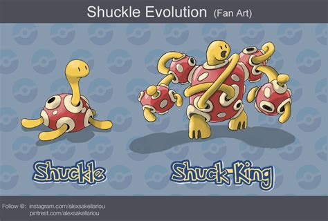 shuckle evolution|shuckle pokemon brick bronze evolution.